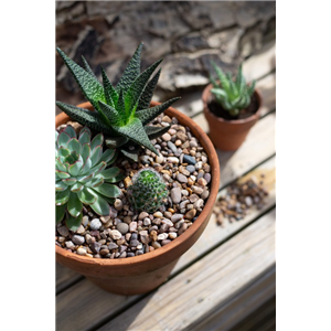 Horticultural Washed Gravel Handy Pack